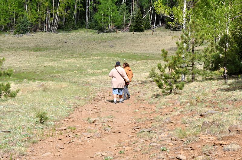 1006120847-Baldy 123.jpg